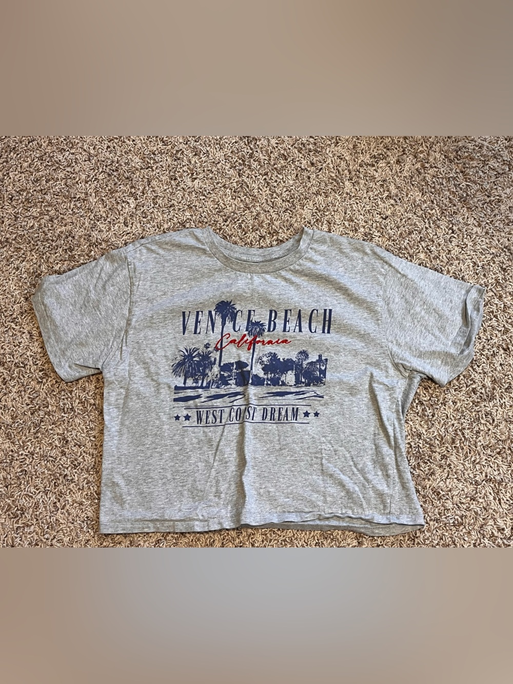Venice Beach California Kids' Gray Graphic Tee